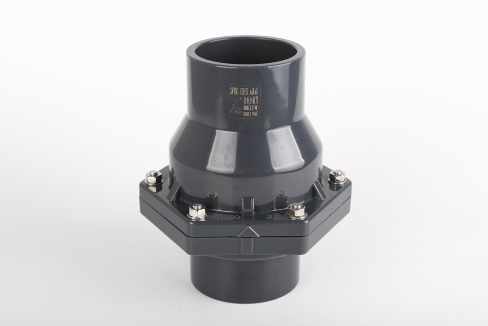 九合垸原种场翻板式止回阀