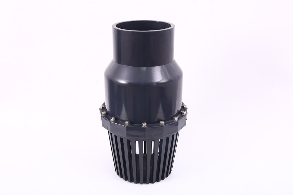 九合垸原种场翻板式底阀