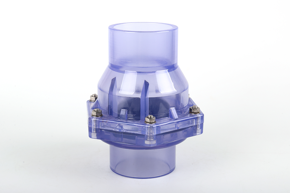 九合垸原种场透明翻板式止回阀